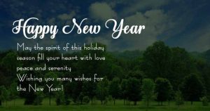 happy new year 2019 wishes